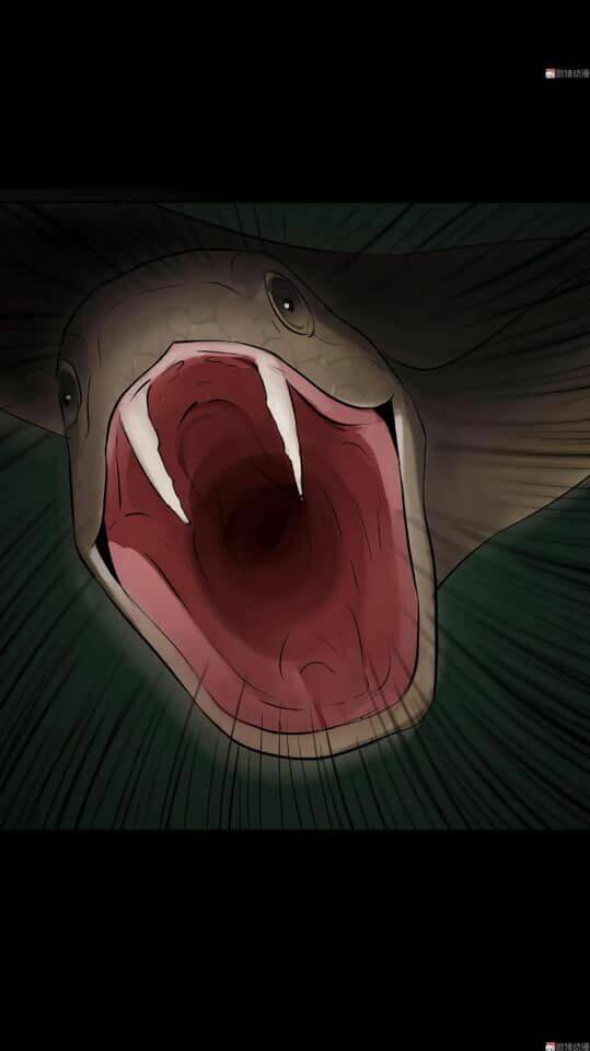 giày thủy tinh chapter 31.5 12