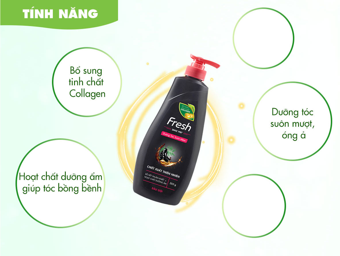 Bộ Đôi Gội 550g - Xả 170g Fresh Tinh Dầu Bồ Kết Bổ Sung Tinh Chất College &amp; Dưỡng Tóc Bồng Bềnh