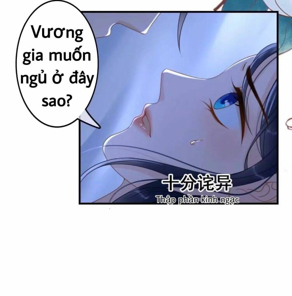 sủng phi của vương chapter 65 25