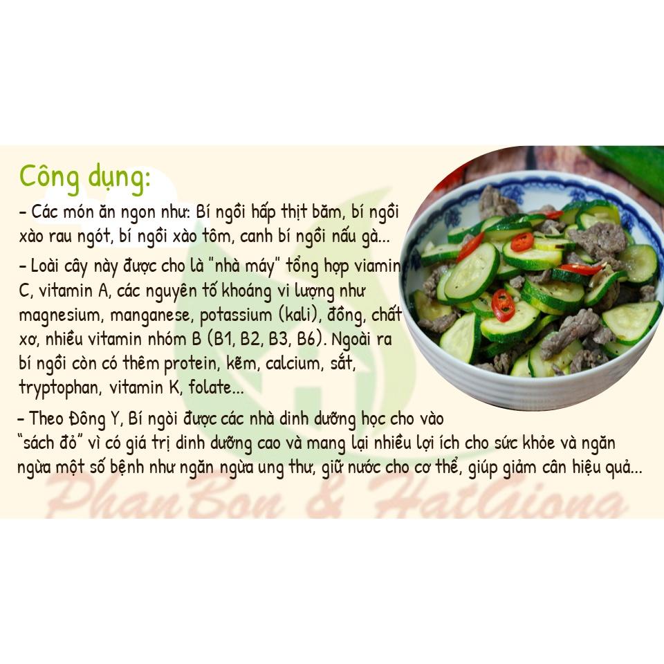 Hạt Giống Bí Ngòi Bí Ngồi Xanh Dễ Trồng - Phú Nông Seeds - Shop Phân Bón và Hạt Giống