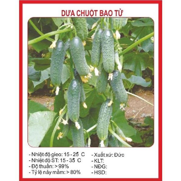 Hạt giống Dưa Chuột bao tử-gói 10 hạt/tặng kèm gói phân bón lót