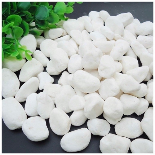 SỎI TRẮNG RẢI TRANG TRÍ CHẬU CÂY