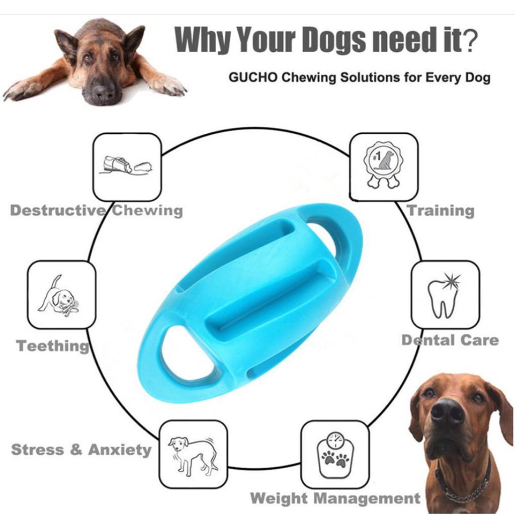 Dog Chew Toy  Squeaky Ball Training Teething Exercise Blue