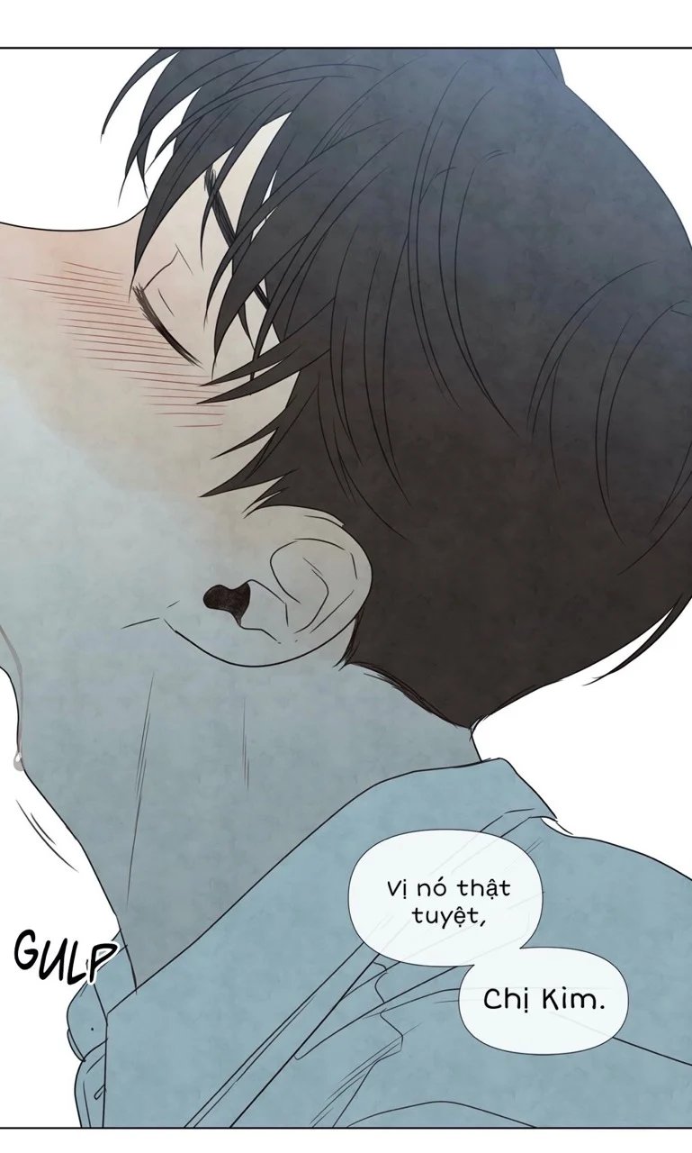 summer solstice point chapter 9 61