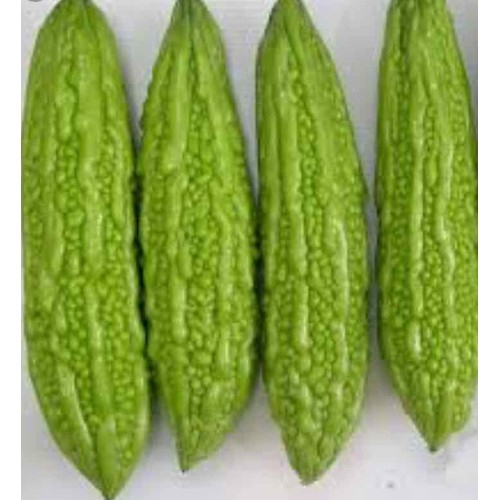 Hạt giống  Khổ qua trái dài 316