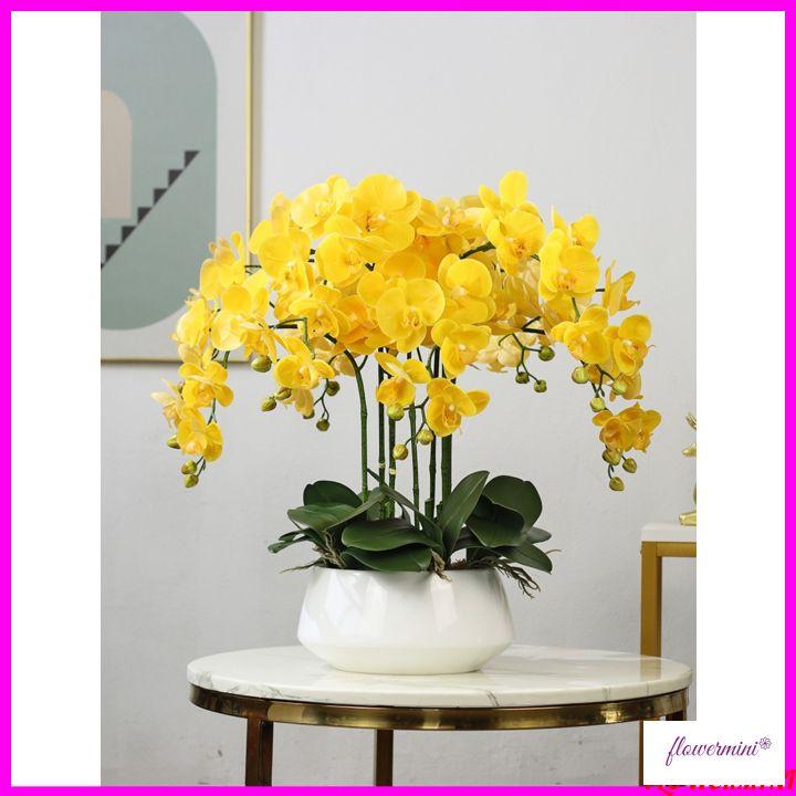 Chậu hoa lan hồ điệp cao su cao cấp cao 60cm trang trí phòng khách, làm quà khai trương sang trọng