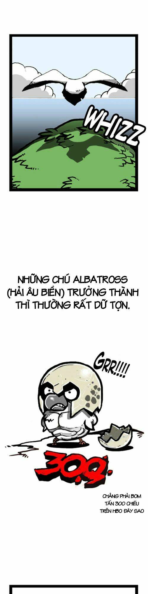 earth, human, and animal chapter 1 7