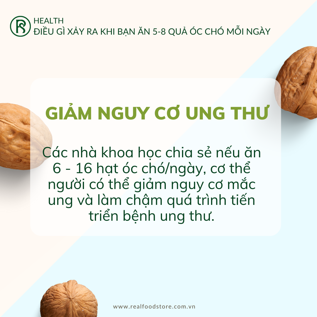 Hạt Óc Chó Nguyên Vỏ Nhập Khẩu Real Food