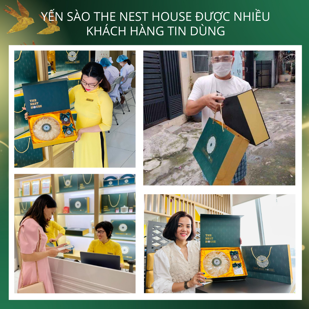 Chân Tổ Yến Sào Tinh Chế Rút Lông 50-100gr The Nest House