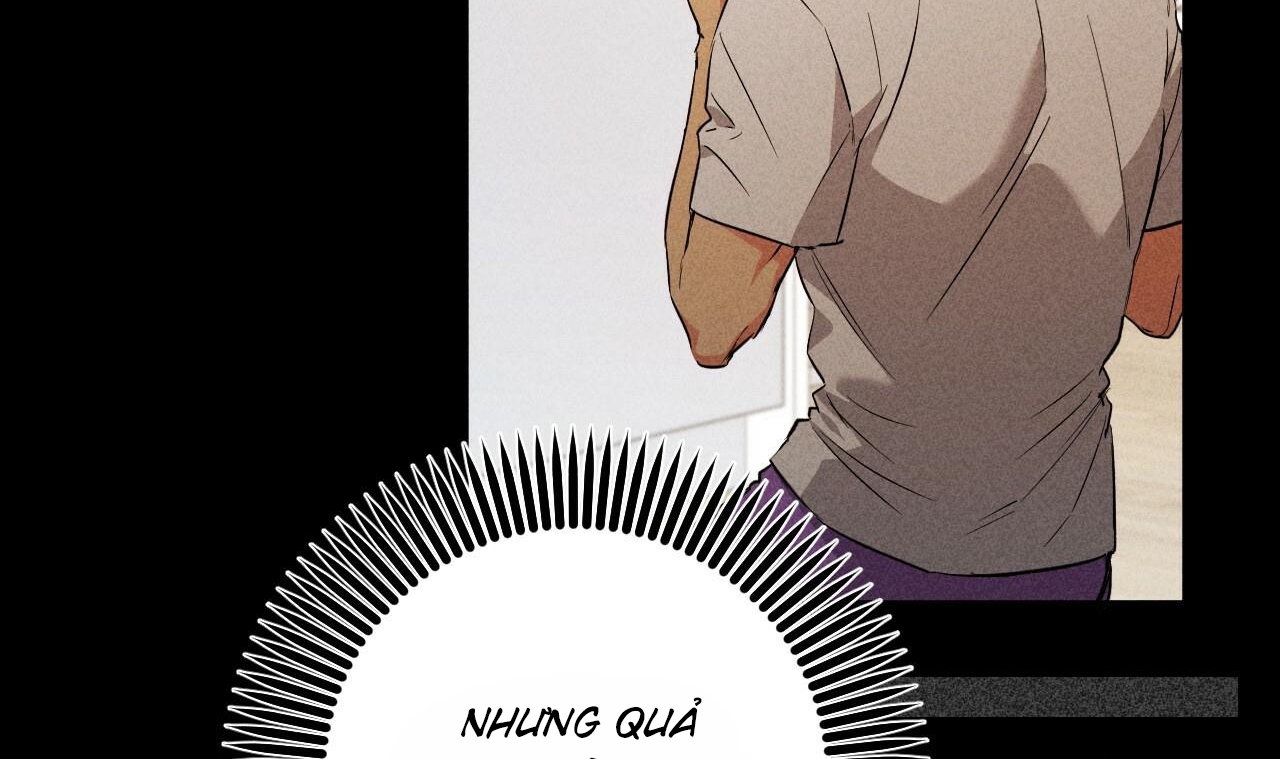 đàn thỏ của habibi chapter 55 163