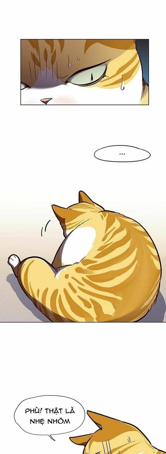 biến thân thành mèo chapter 56 13