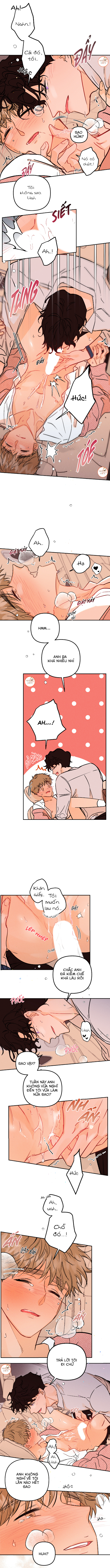 punk dunk funk chapter 25 5