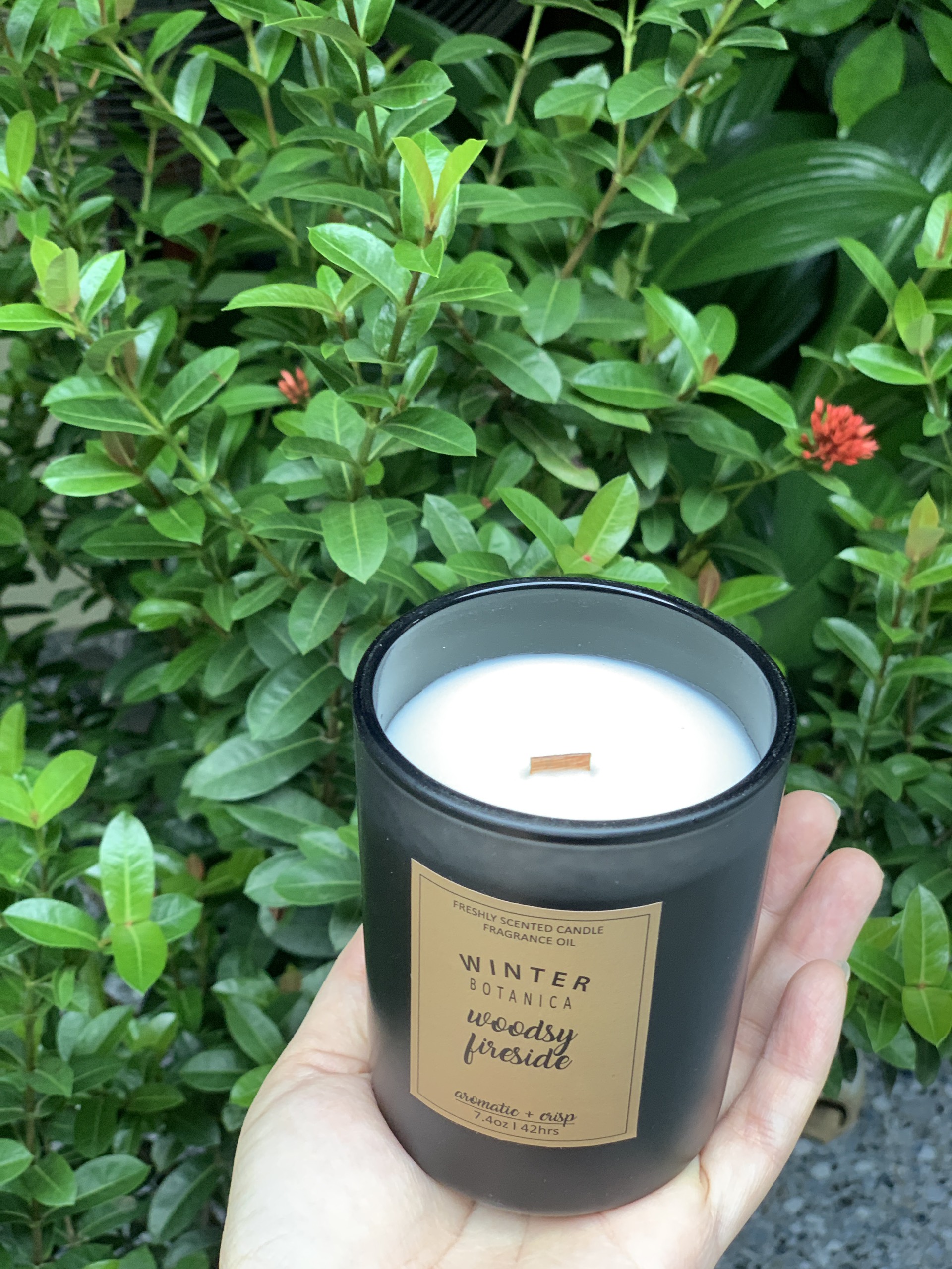 Nến thơm hương gỗ Woody Fireside, nguyên liệu tự nhiên, 221 grams, 1 bấc sợi