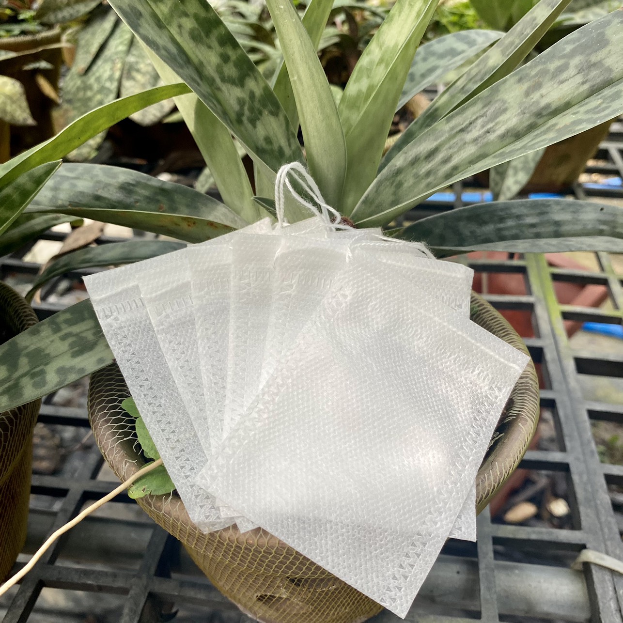 Set 100 Túi Lọc Đựng Phân Tan Chậm Size 6x8 Cho Hoa Lan, Cây Cảnh