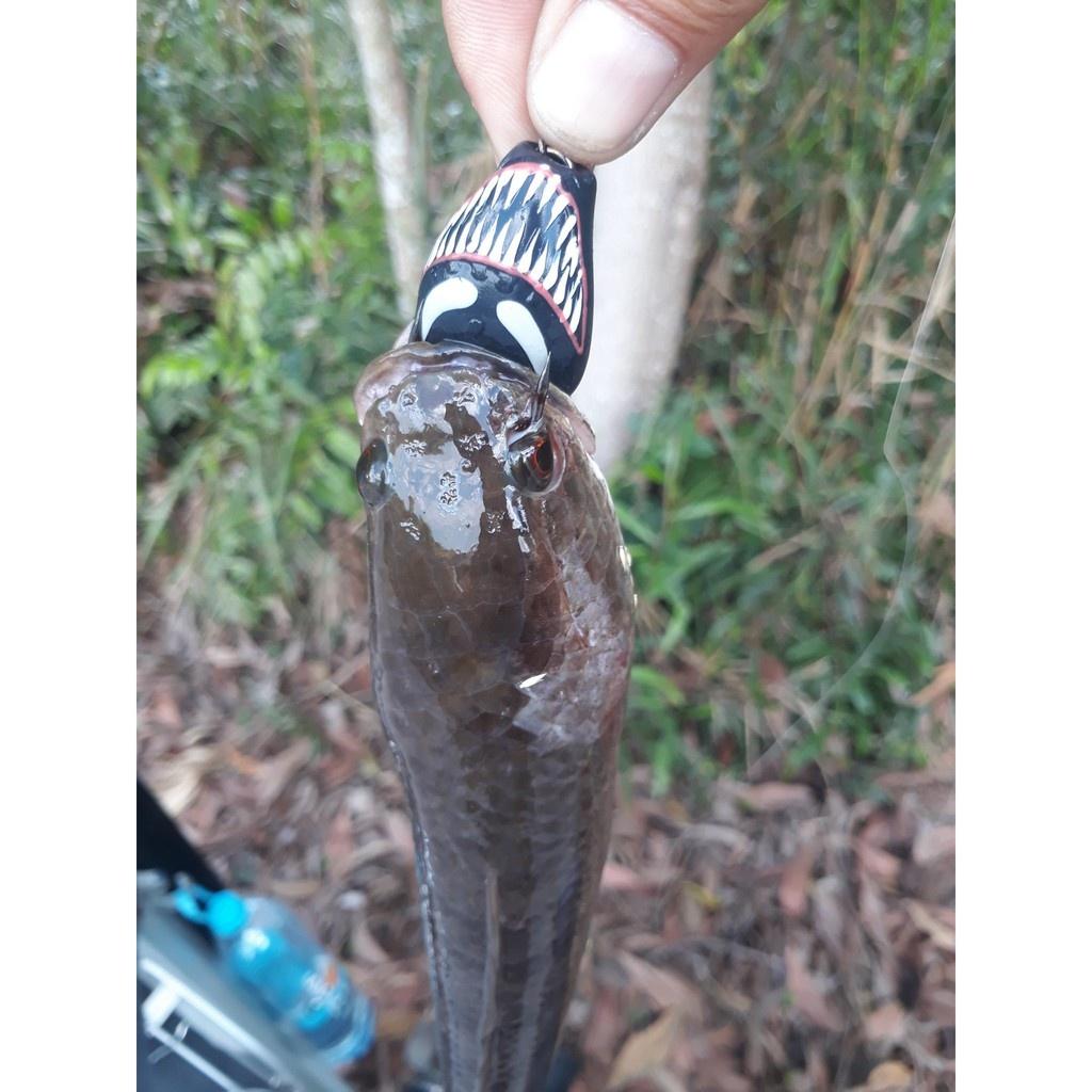 MỒI LURE LÓC GIÁ TỐT CHUYÊN SĂN LÓC,VƯỢC....NHÁI HƠI HVAFROG-NHÁI HƠI HD