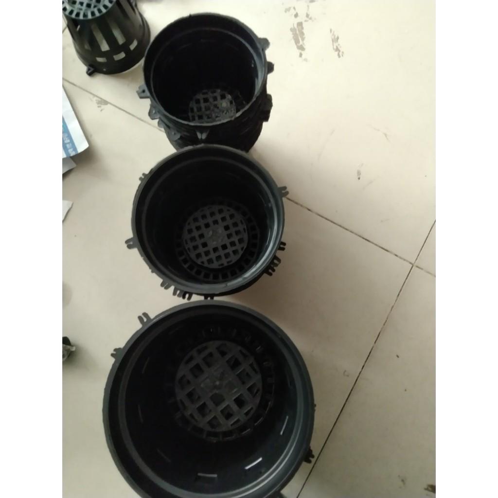 Compo 5 chậu nhựa trồng lan