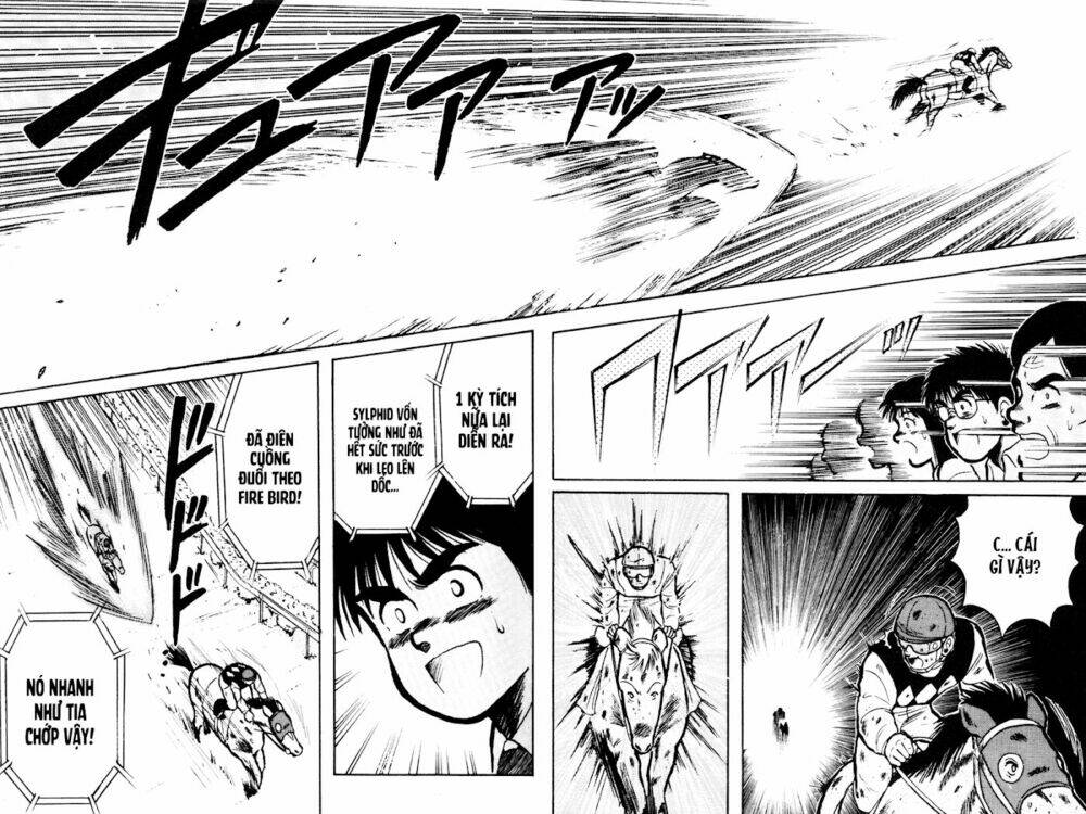 kaze no sylphid - phong mã silphid chapter 15 7