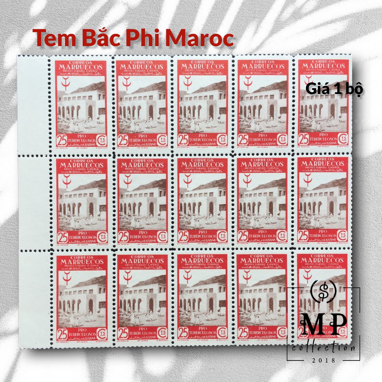 Bộ 5 tem xưa Bắc Phi Maroc thuộc địa Tây Ban Nha sưu tầm.