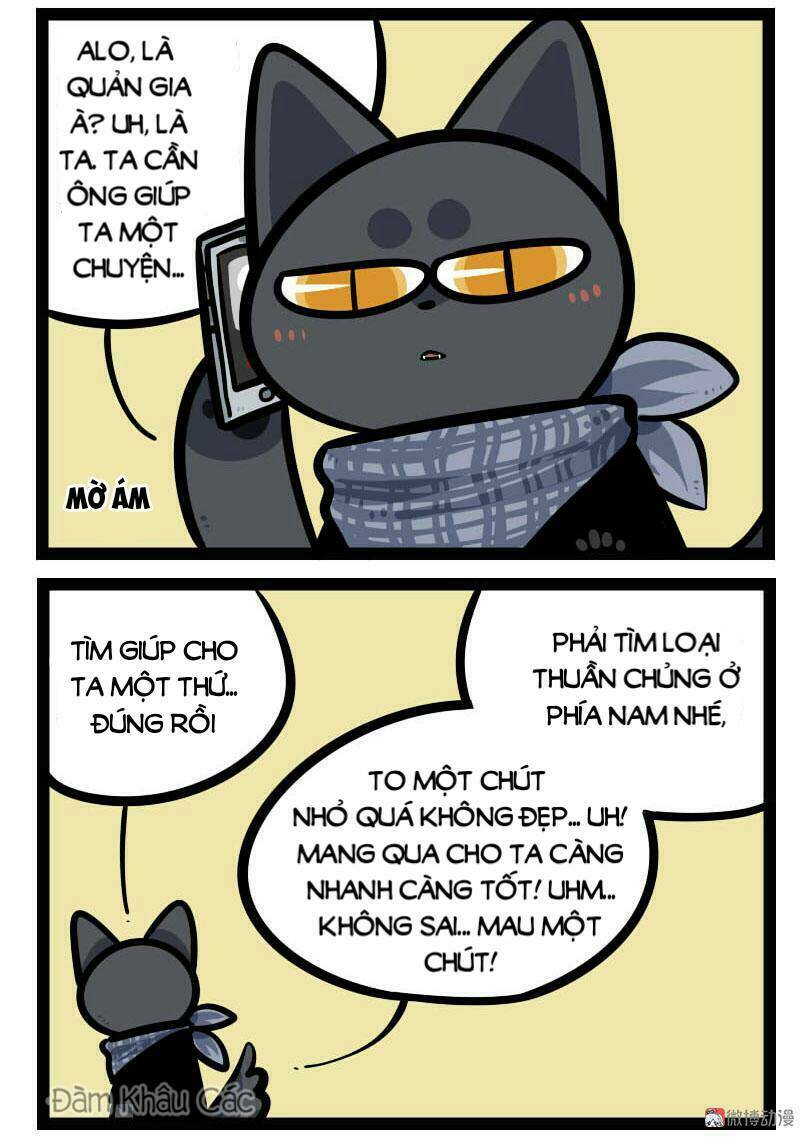 đời không như mình tưởng chapter 64 4