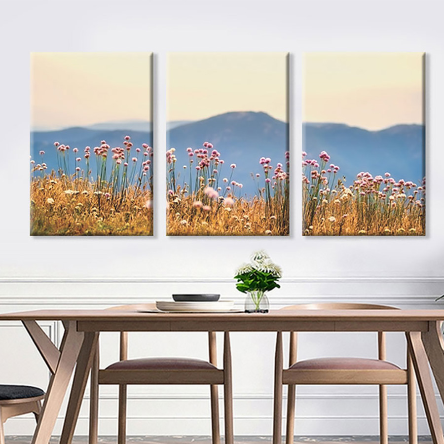 Bộ 3 Tranh Canvas Đồng Hoa Dại - W119