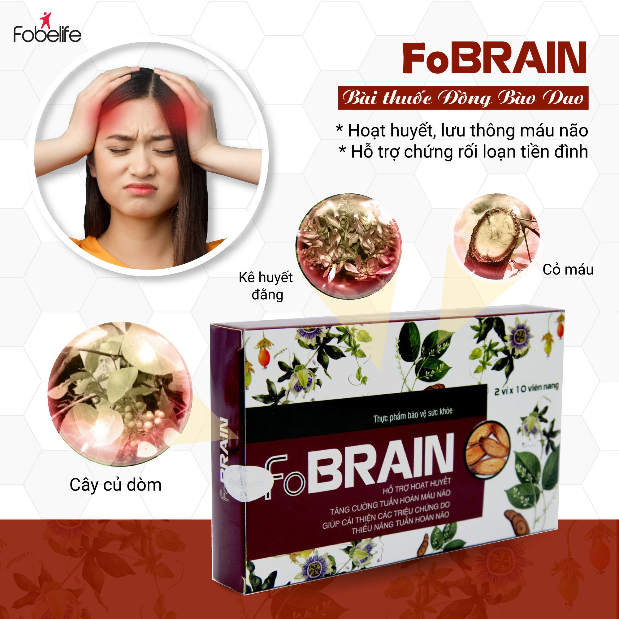 Viên Uống Giảm Rối Loạn Tiền Đình Giảm Đau Đầu Hoa Mắt Chóng Mặt FoBrain - Hộp 20 viên