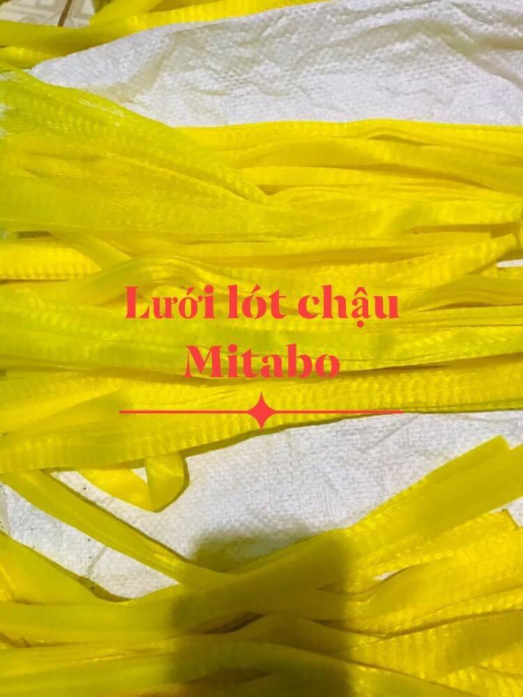 Túi lót chậu chống rơi