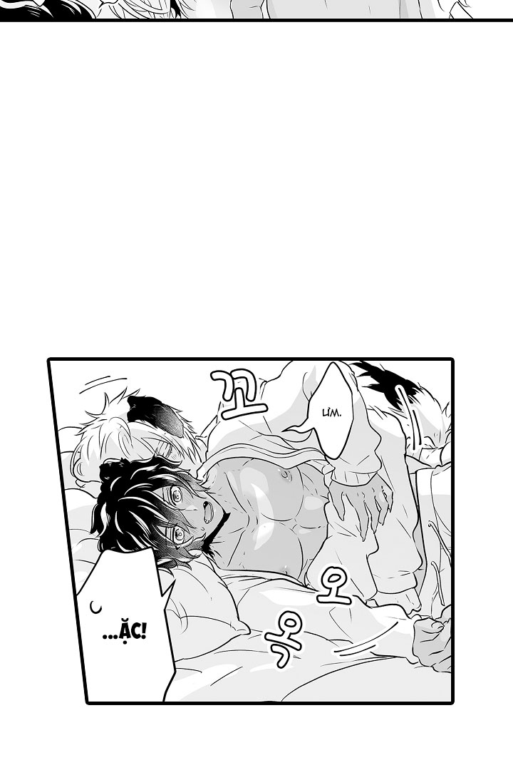 gấu ngủ đông chapter 4.3 4