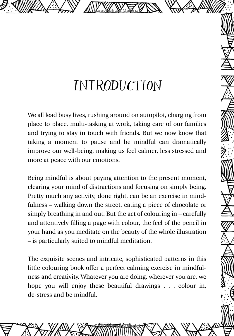 Sách ngoại văn: The Mindfulness Colouring Book : Anti-Stress Art Therapy for Busy People