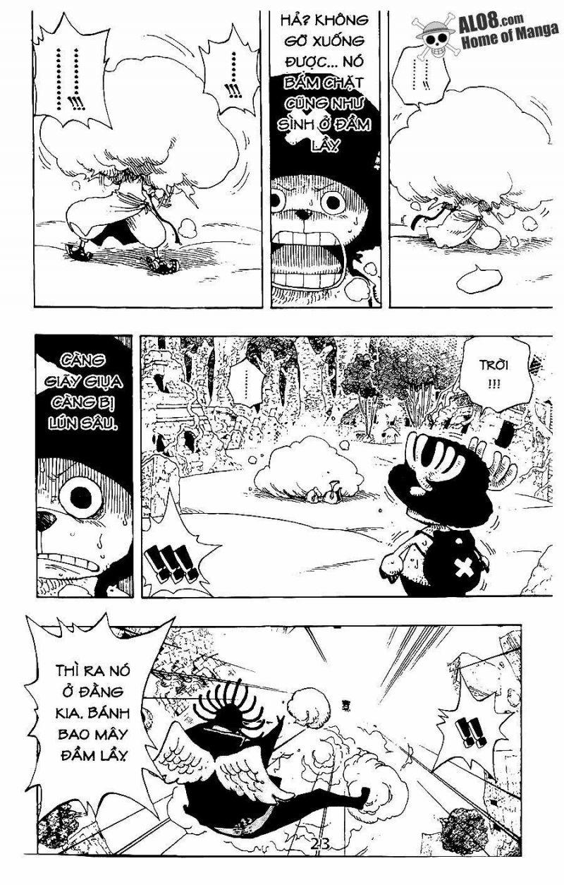 đảo hải tặc - one piece chapter 262 10