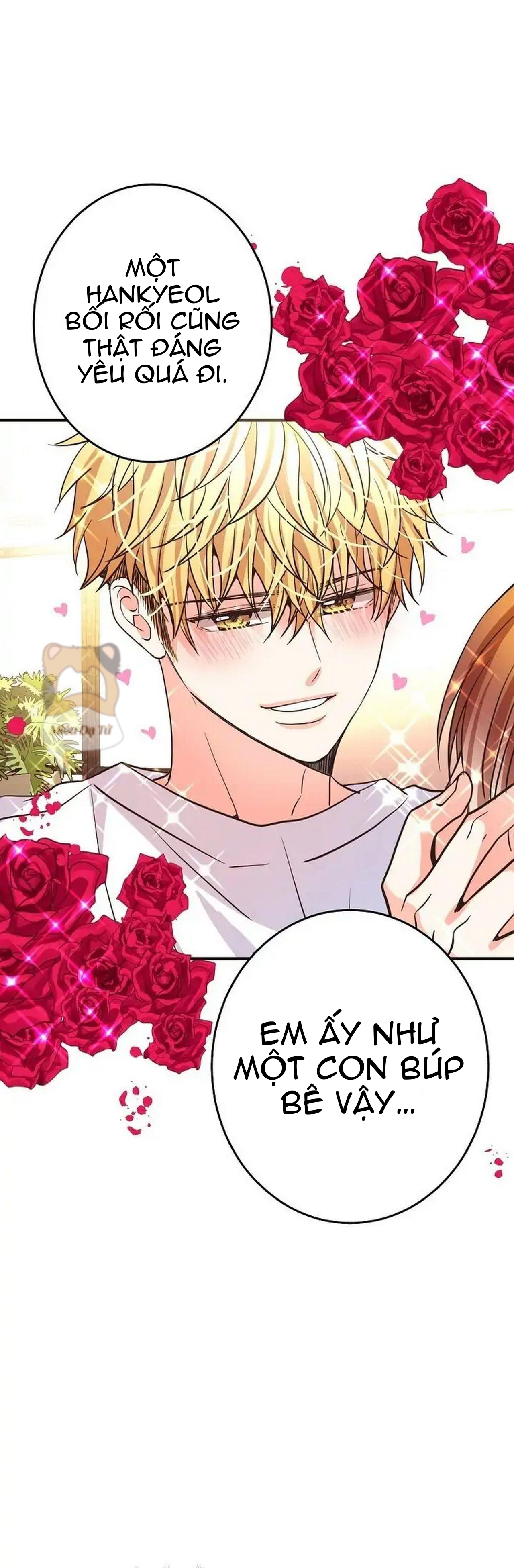 mối quan hệ phù hợp chapter 20 26