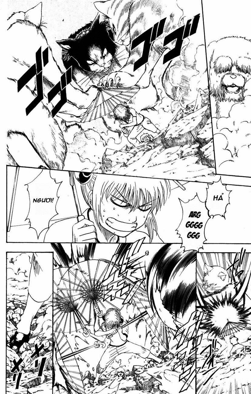 gintama - linh hồn bạc chapter 209 6