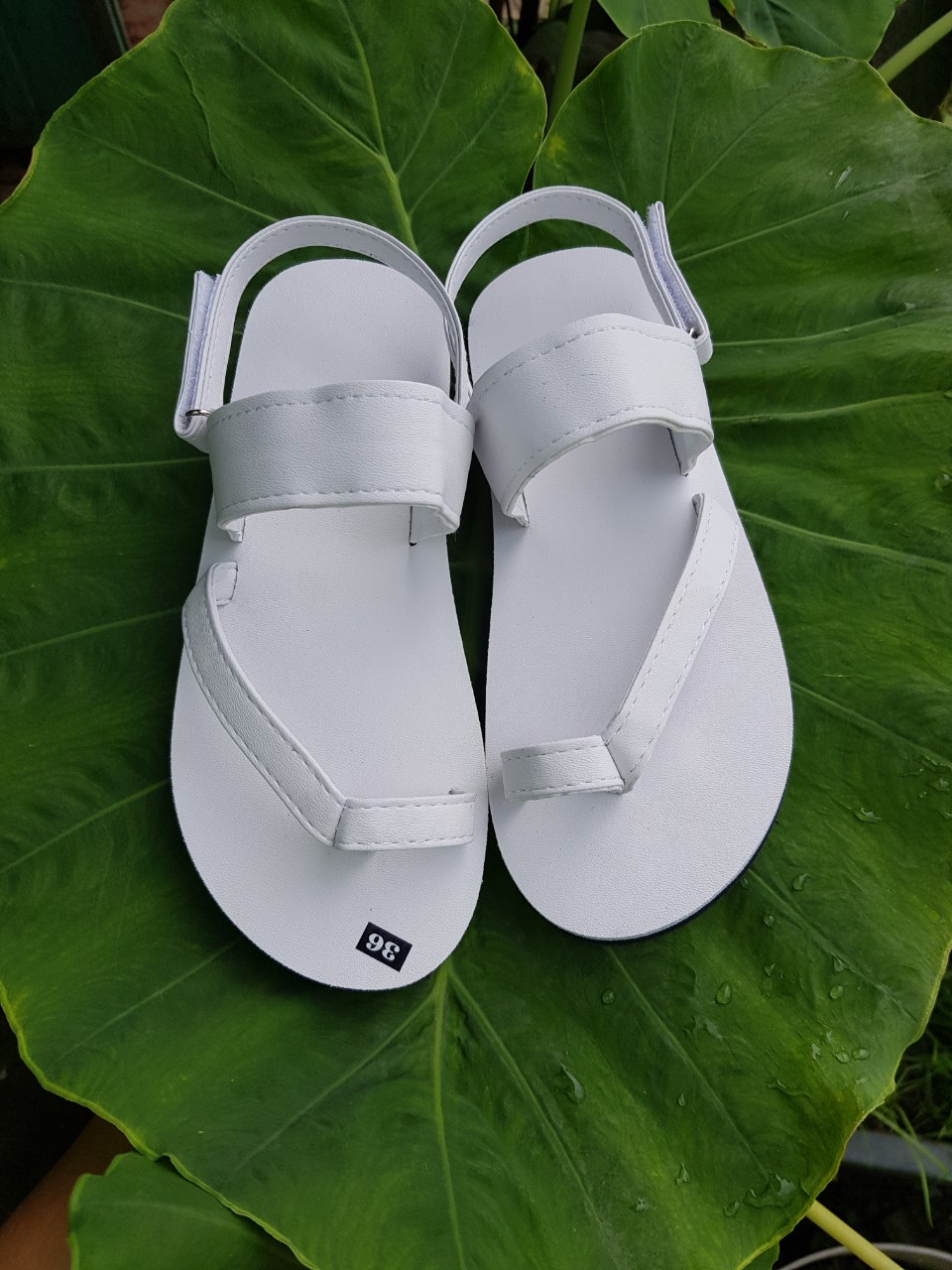 Sandal nam và nữ đế trắng quai trắng size từ 34 đến 42 đủ màu đủ size