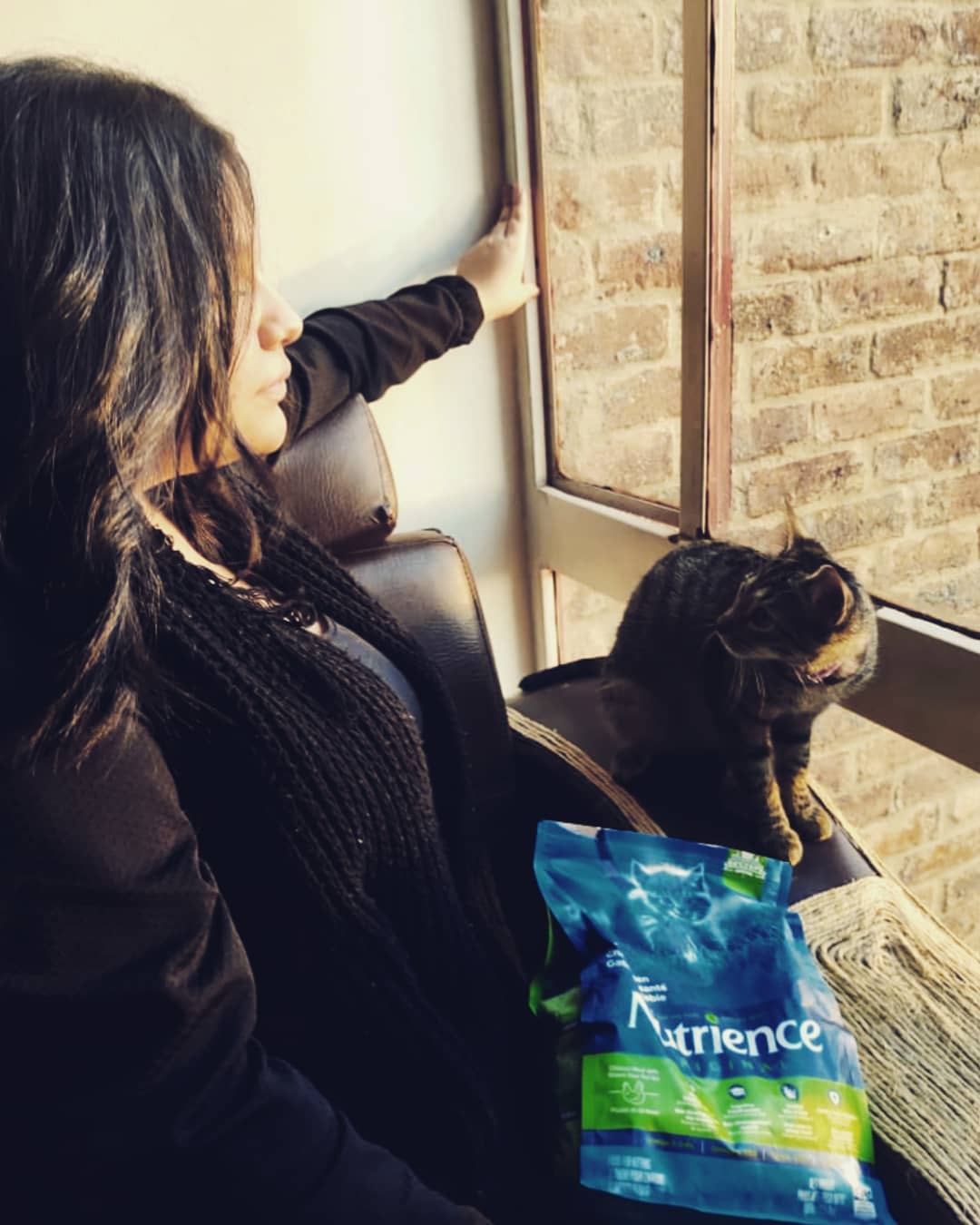 Thức Ăn Cho Mèo Tai Cụp, Nutrience Original Bao 2,5kg - Thức Ăn Cho Mèo, Thịt Gà, Dầu Cá Hồi, Rau Củ, Trái Cây Tự Nhiên