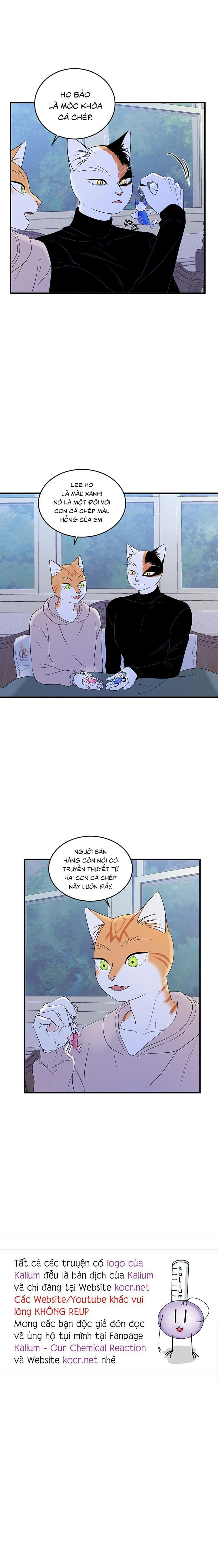 dự án xanh chapter 39 17