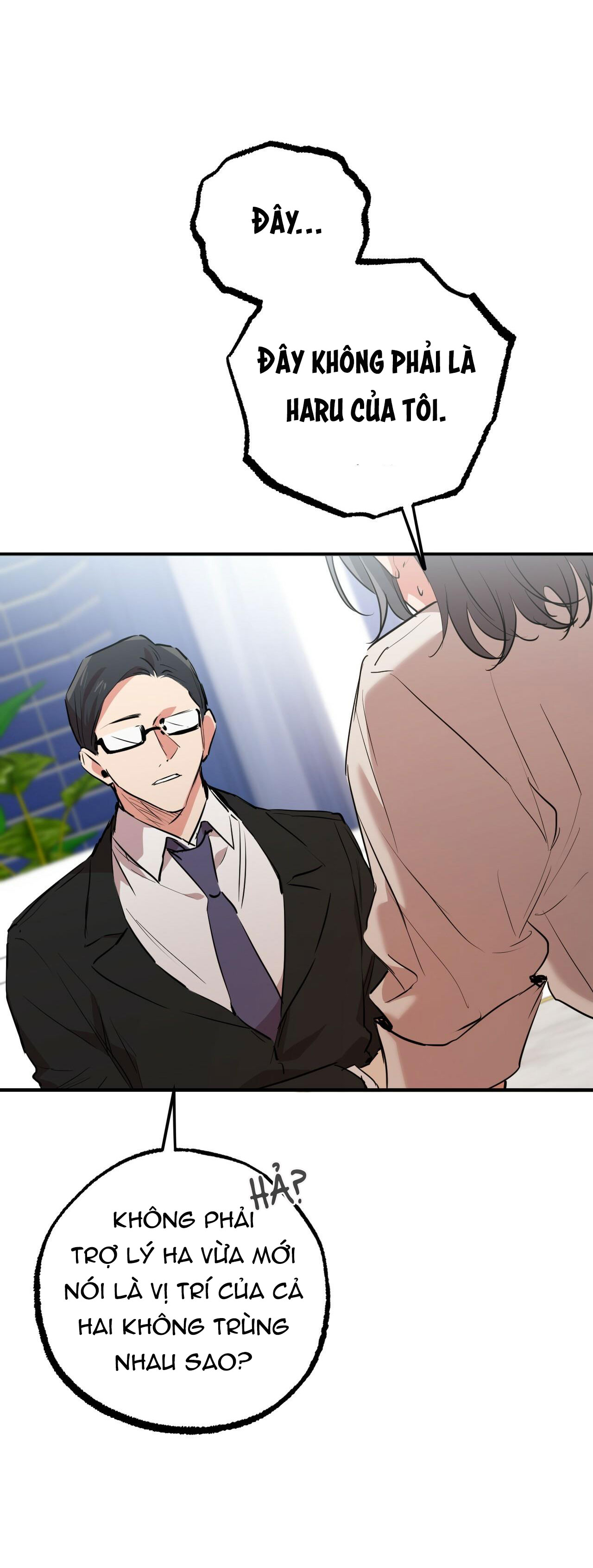 những chú thỏ của hapypy chapter 34 38