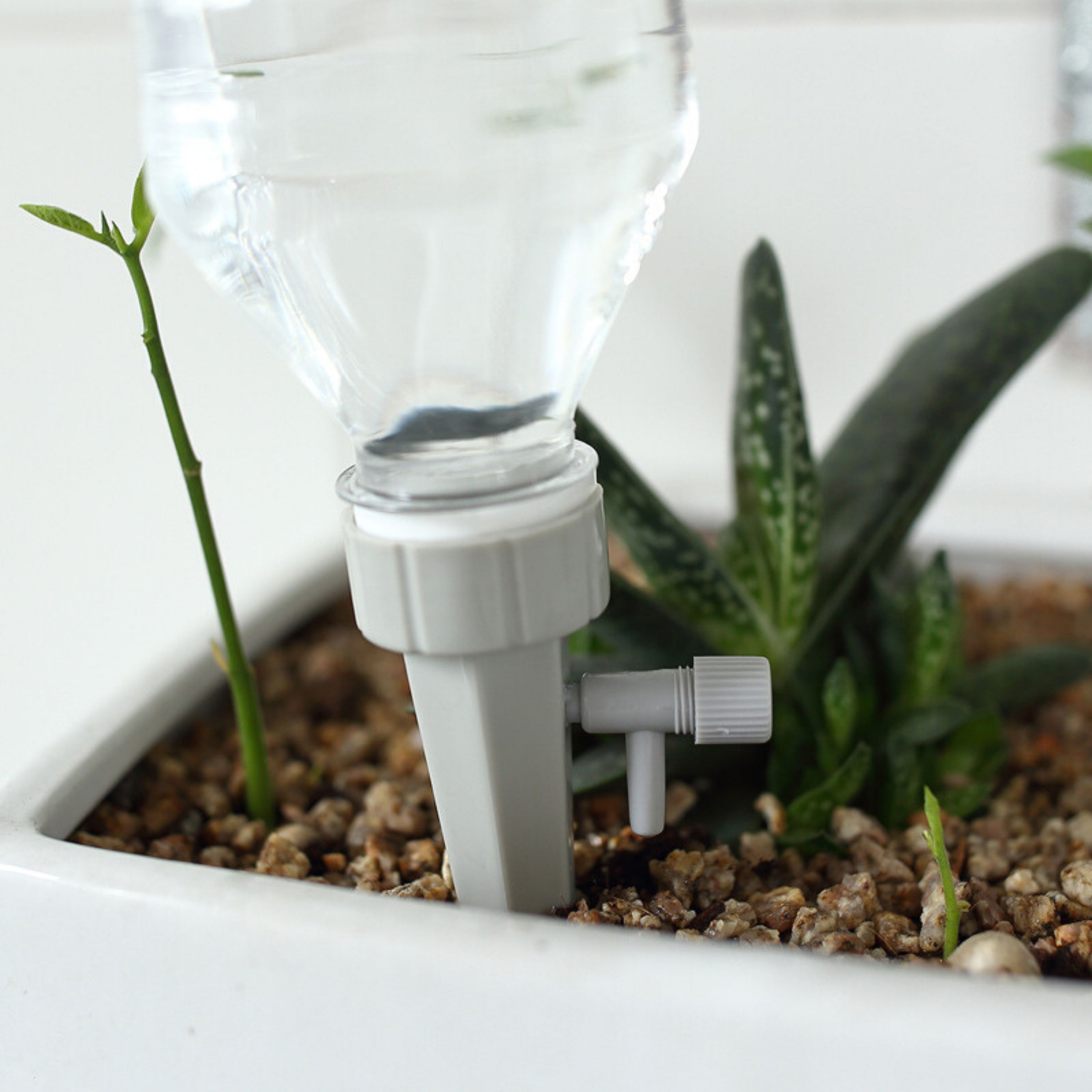Tưới nước nhỏ giọt tự động cho cây trồng trong nhà TNC11