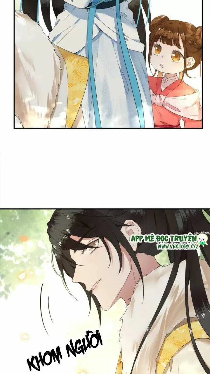 phượng hoàng vu phi chapter 75 7