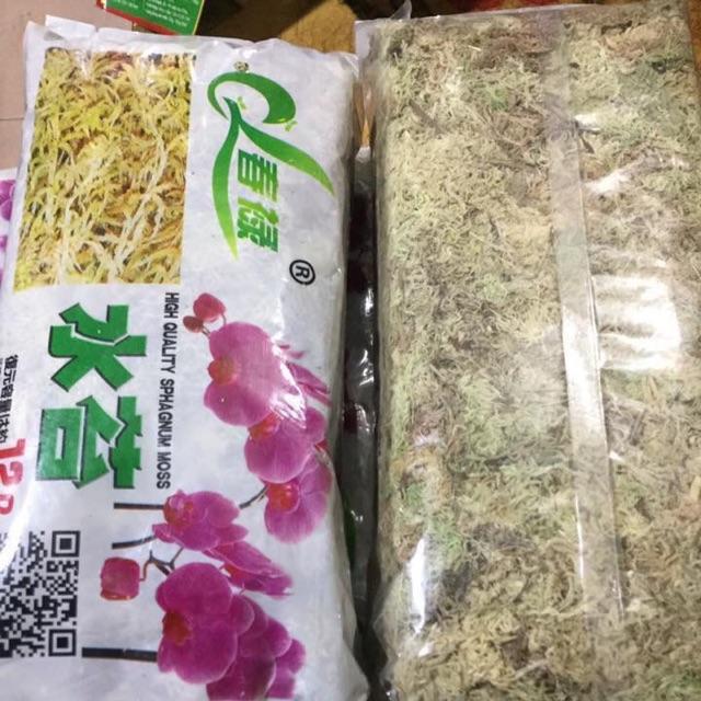 Giá thể Tảo biển