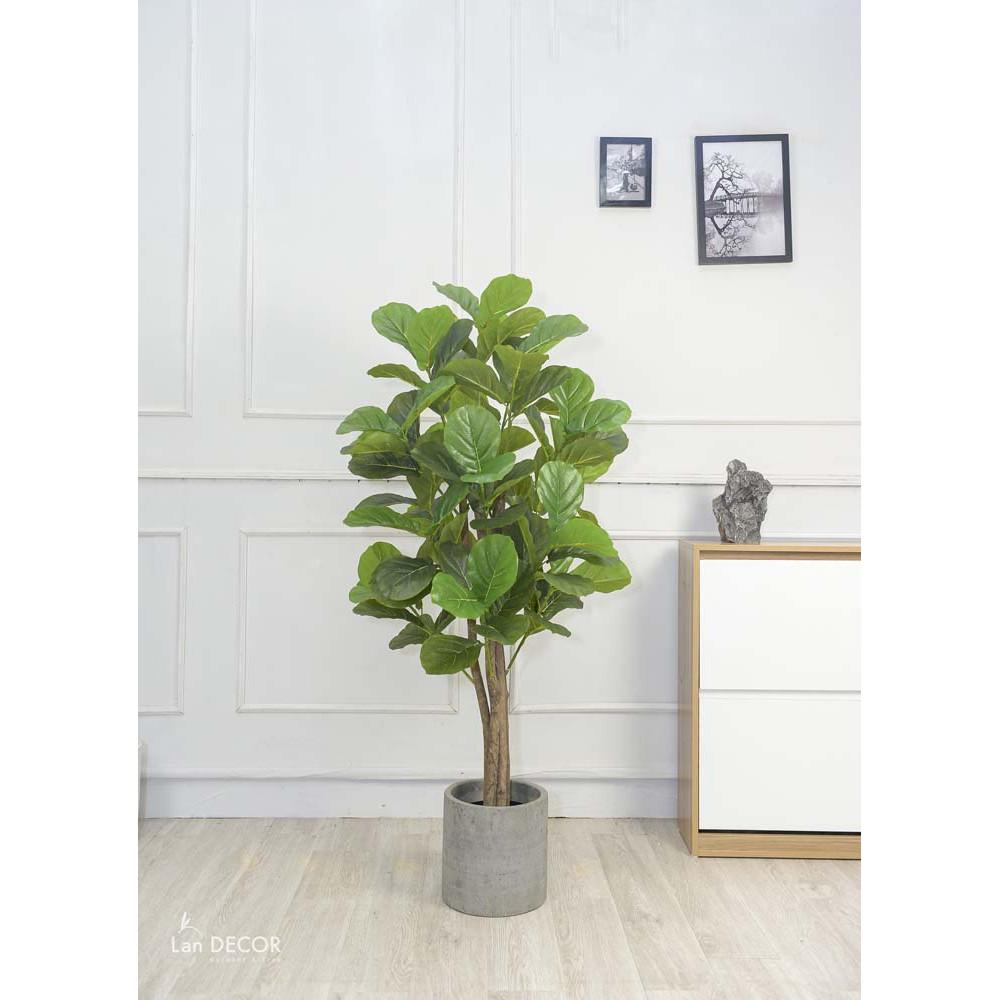 Cây bàng Singapore giả giống thật 99% - Cao 135 cm – Cây giả, hoa lụa decor trang trí rẻ, bền, đẹp