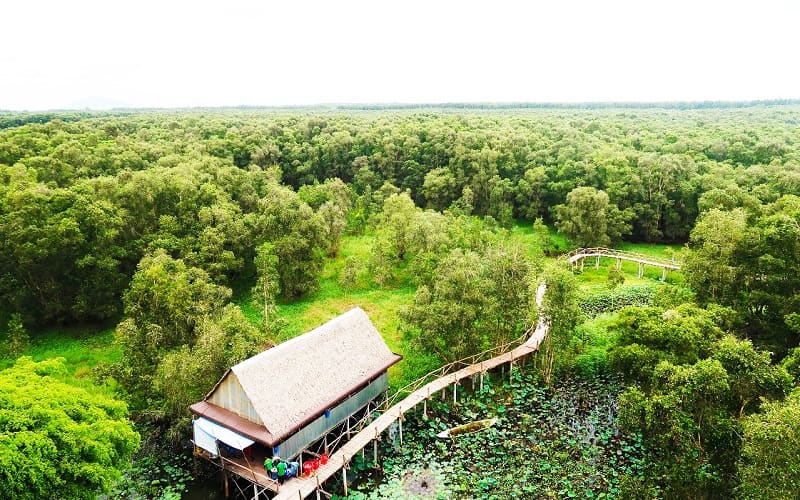 Tour rừng tràm Trà Sư 1 ngày – Viếng Miếu Bà Chúa Xứ Châu Đốc