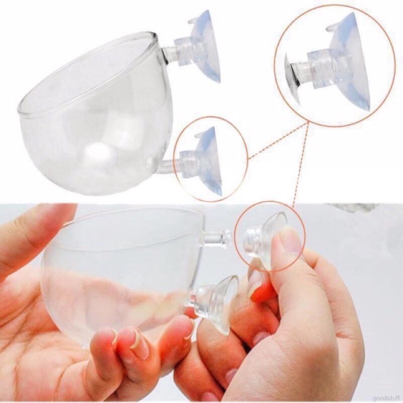 Cốc trồng cây thuỷ sinh