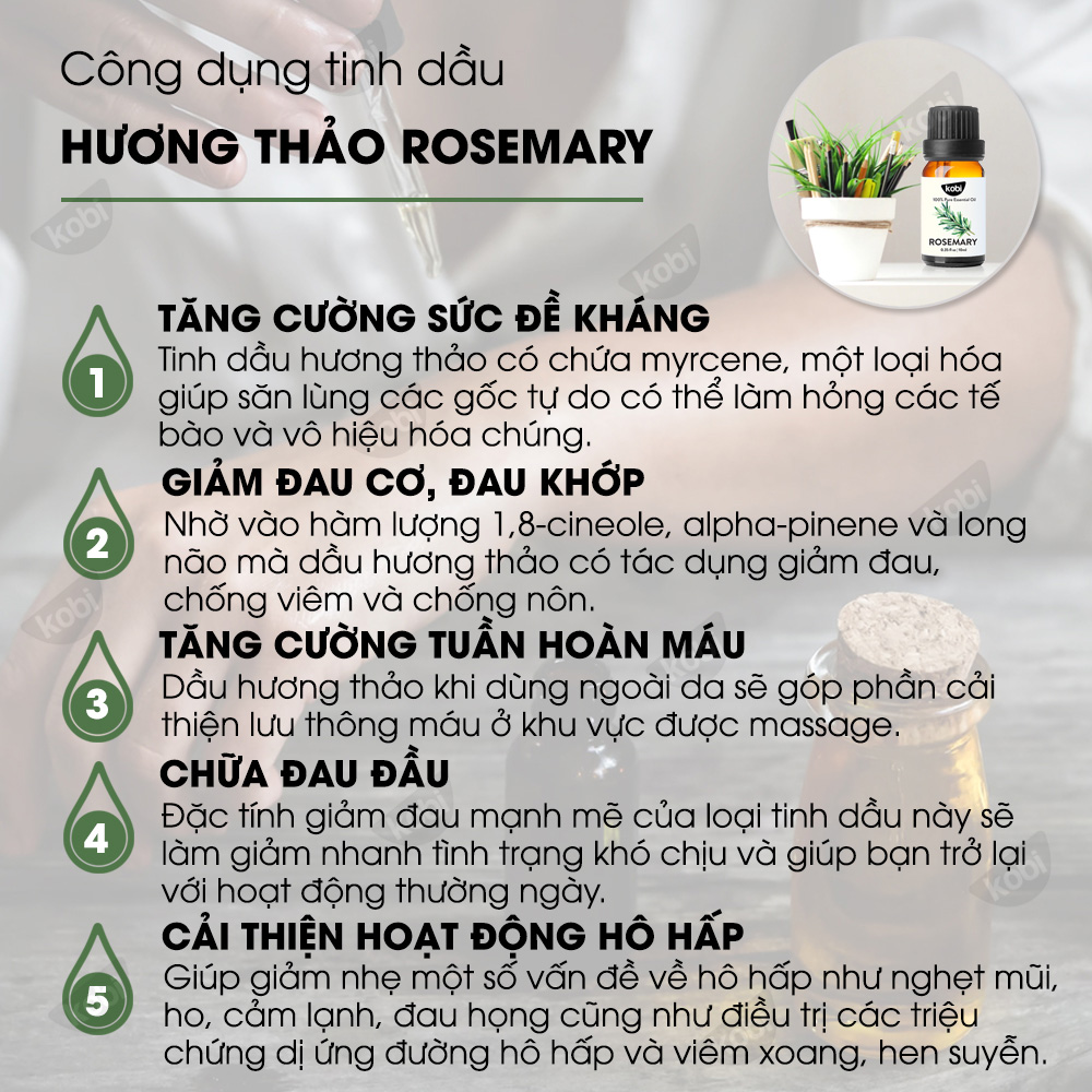 Tinh Dầu Hương Thảo 50ml Kobi Rosemary Essential Oil Xông Hơi, Khử Mùi, Thơm Phòng