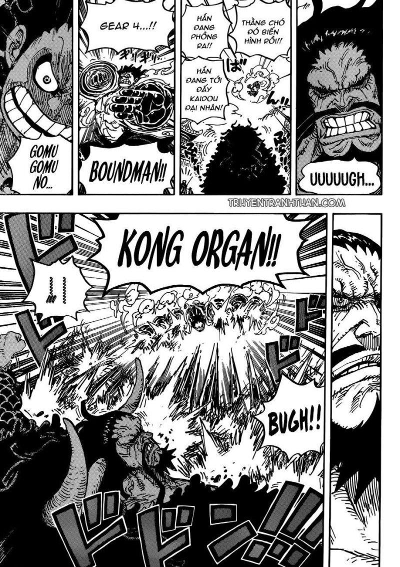 đảo hải tặc - one piece chapter 923 11