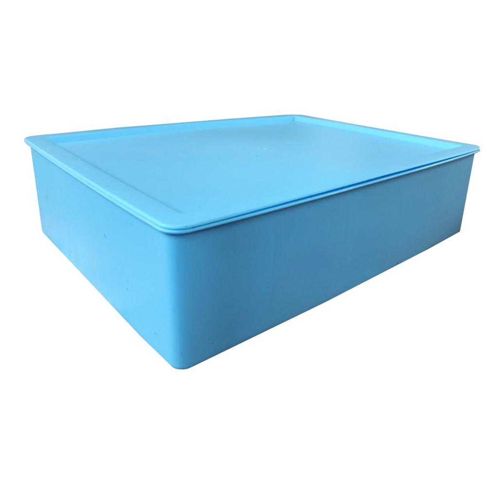 Khay đựng áo ngực đồ lót homestar