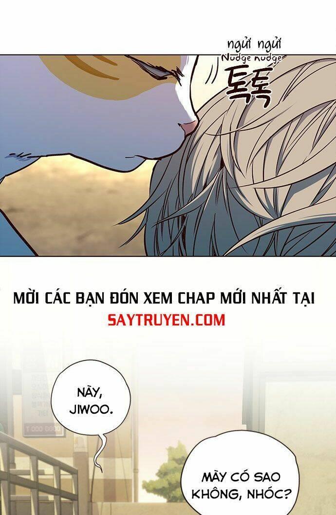 biến thân thành mèo chapter 14 17