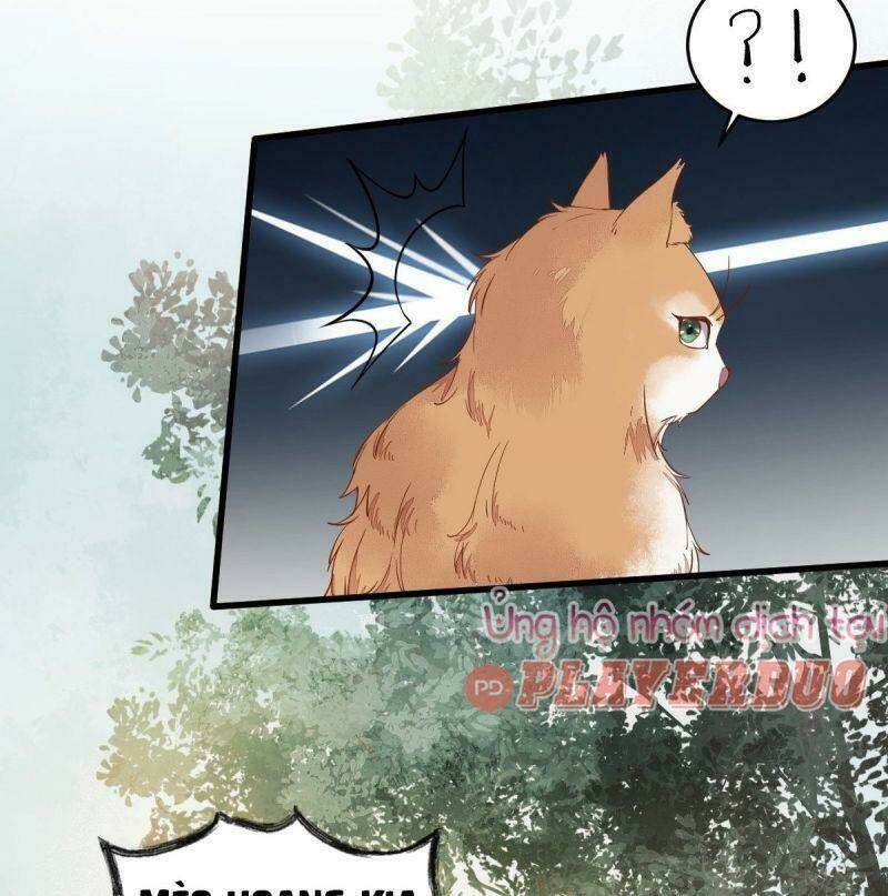 sát thủ vương phi không dễ chọc chapter 37 22