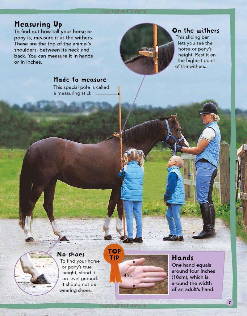 Sách ngoại văn: My First Horse And Pony Book