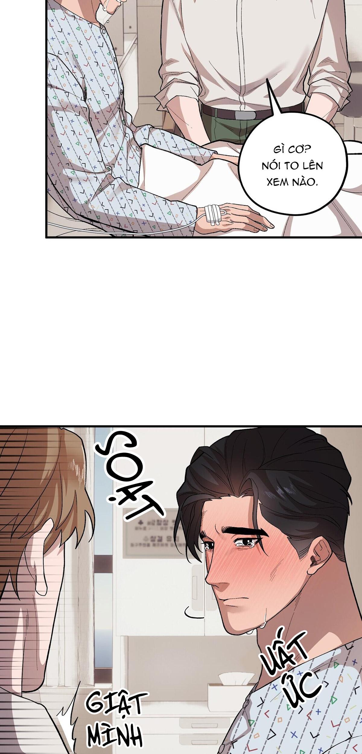 chàng dâu nhà họ kang chapter 56 14