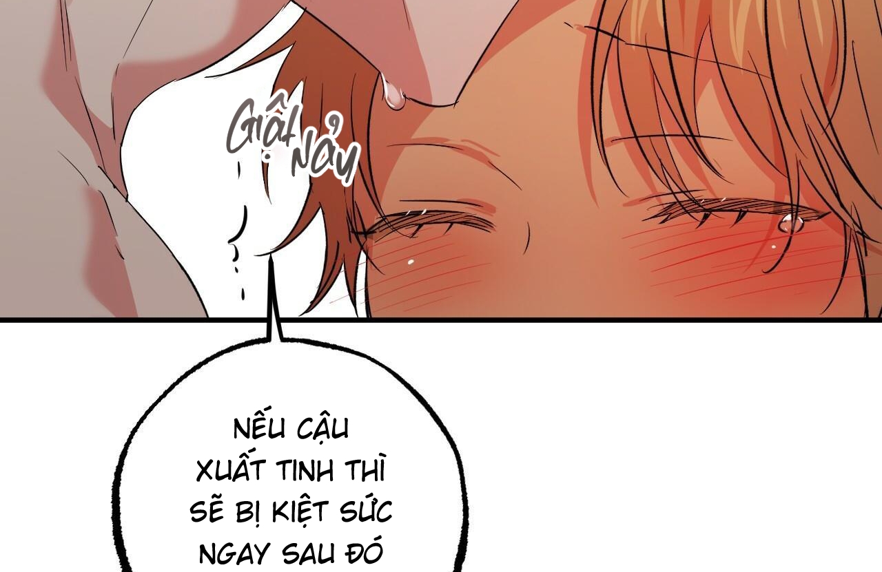 đàn thỏ của habibi chapter 54 95