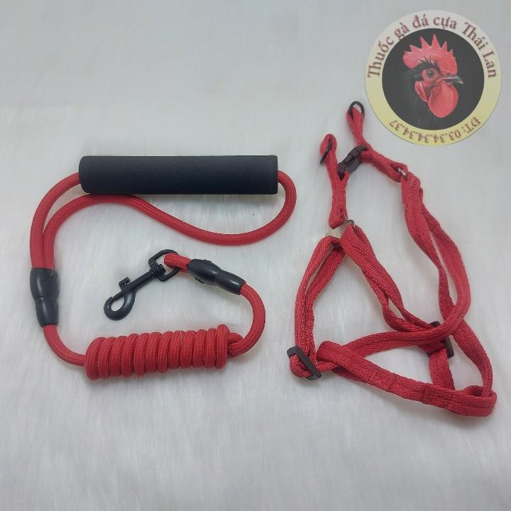 Dây xích và vòng cổ chó Trung